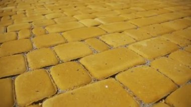 Renkli kaldırım taşları hareket bir parkta