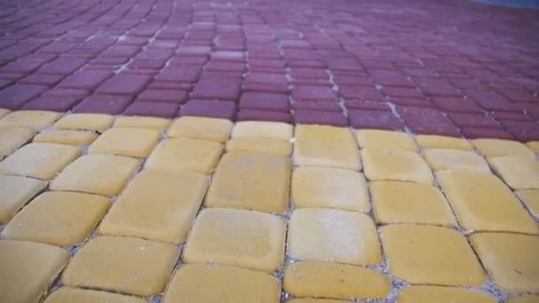 Piedras de pavimentación de colores en un parque en movimiento — Vídeos de Stock