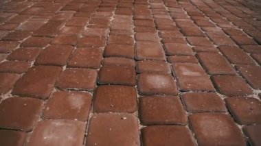 Renkli kaldırım taşları hareket bir parkta