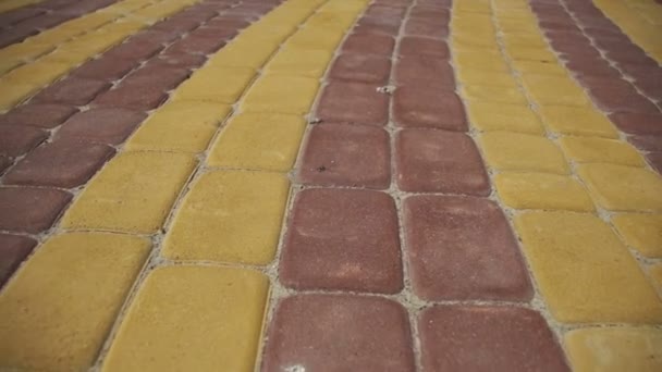 Piedras de pavimentación de colores en un parque en movimiento — Vídeo de stock