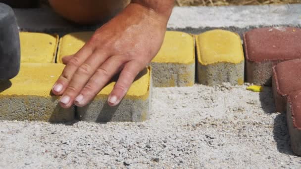 Travailleur pose des pierres de pavage en utilisant le marteau — Video