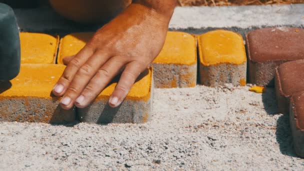 Trabajador está colocando adoquines usando martillo — Vídeos de Stock