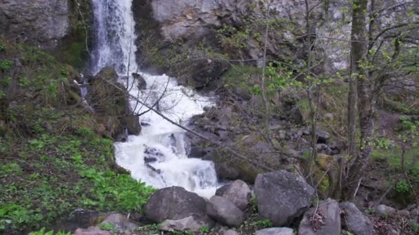 Водопад в горах Грузии — стоковое видео