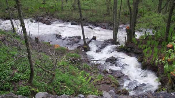 Dziki wodospad i strumienia w górach Gruzji — Wideo stockowe