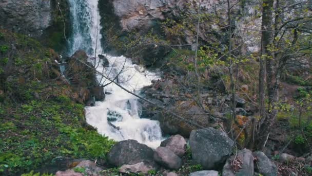 Cascata selvaggia nelle montagne della Georgia — Video Stock