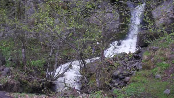 Cachoeira selvagem nas montanhas da Geórgia — Vídeo de Stock
