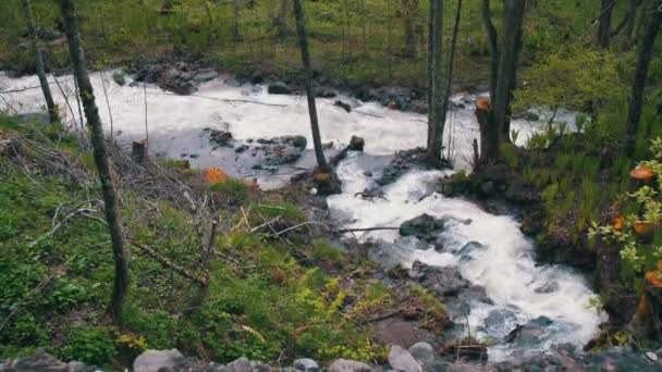 Vodopád a Stream v horách Gruzie — Stock video