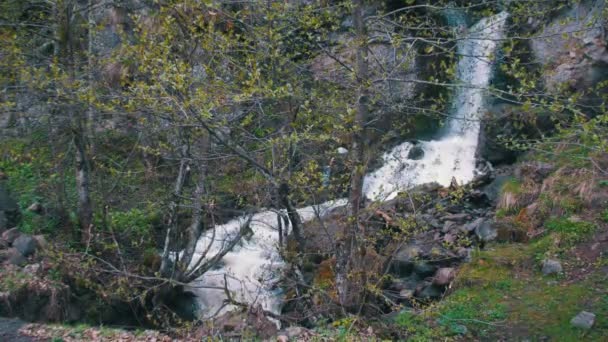 Cachoeira nas montanhas da Geórgia — Vídeo de Stock