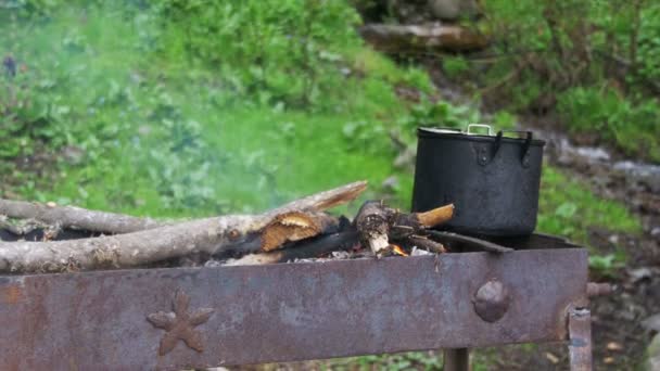 Shish Kebab wordt gekookt op het rooster in het bos — Stockvideo