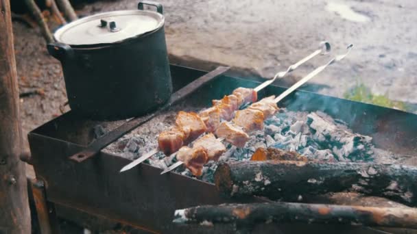 Meat Grilled on Skewers. Cooking Shish Kebab — Stock Video