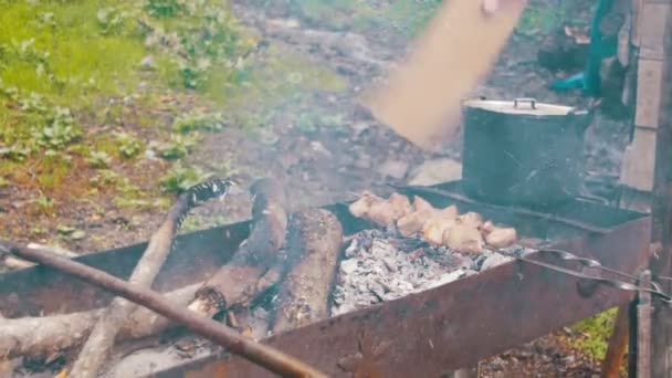 Shish Kebab wordt gekookt op het rooster in het bos — Stockvideo