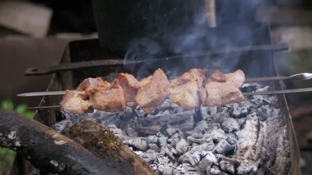 Kött som grillas på grillspett. Matlagning Shish Kebab. Slow Motion — Stockvideo