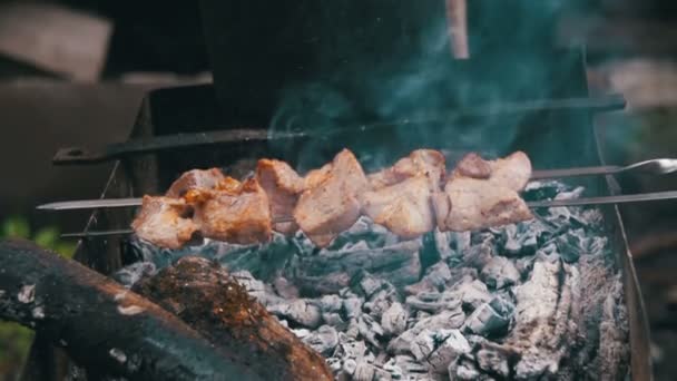 烤羊肉串是在森林里的烤架上烧熟。慢动作 — 图库视频影像