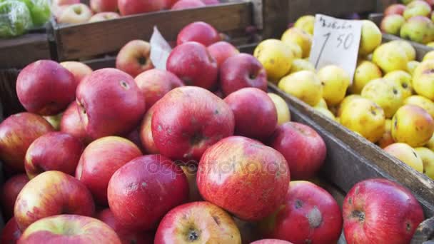 Mostra com maçãs e frutas no mercado. Comércio — Vídeo de Stock