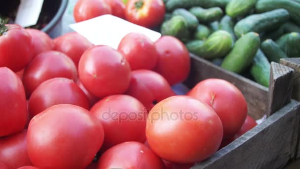 Βιτρίνα με τομάτες και λαχανικά για την αγορά ειδών παντοπωλείου. Εμπόριο — Αρχείο Βίντεο