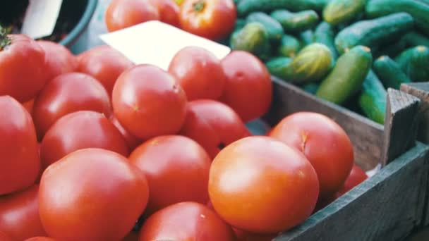 Vitrine mit Tomaten und Gemüse im Lebensmittelmarkt. Handel — Stockvideo