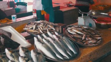 Taze deniz balığı shop