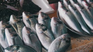 Tezgahta Taze Deniz Balığı