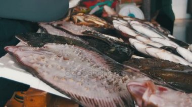 Tezgahta Taze Deniz Balığı
