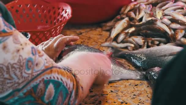 Vendedor de pescado limpia y cortar pescado fresco en el mercado de pescado — Vídeo de stock