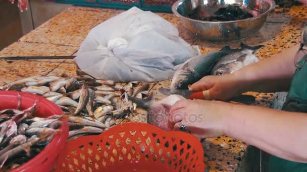 Fish Vendor Scaling Fish in Market Stall — Stock Video