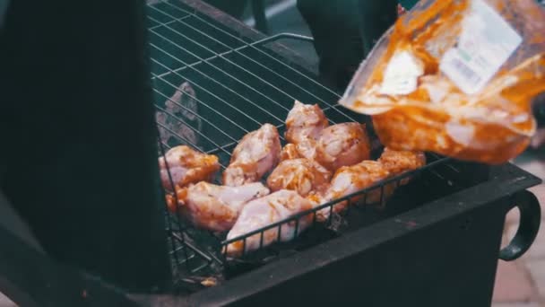 Gegrilde kip op de grill — Stockvideo