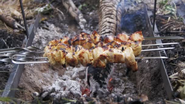 Spieße mit Hühnchen werden auf dem Feuer in der Natur gekocht — Stockvideo