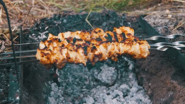 Kebab con pollo sono cotti sul fuoco sulla natura — Video Stock