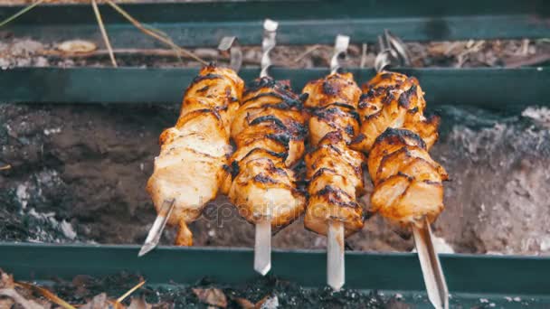 Spieße mit Hühnchen werden auf dem Feuer in der Natur gekocht — Stockvideo