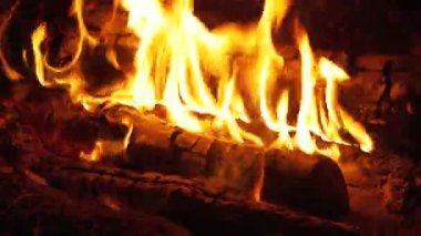 Geceleri ormanda yaktı şenlik ateşi