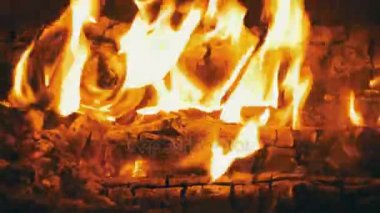 Geceleri dalları yanık ormanda kamp ateşi