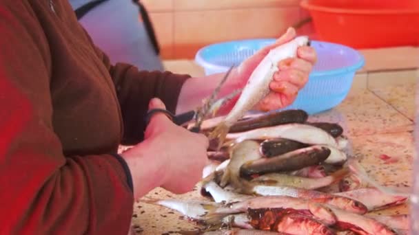 Venditore di pesce Scaling Fish in Market Stall — Video Stock