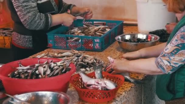 Mulher vendedor de peixe limpa e corte de peixe fresco no mercado de peixe — Vídeo de Stock