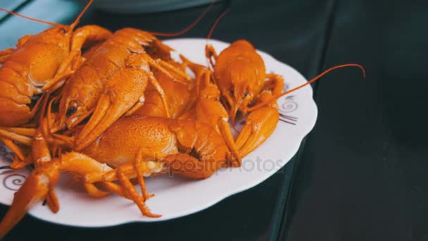 熟鱼餐厅在木桌上的红色小龙虾 — 图库视频影像