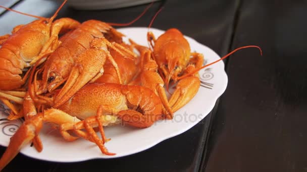 Kokta röda kräftor på ett träbord i fiskrestaurangen — Stockvideo