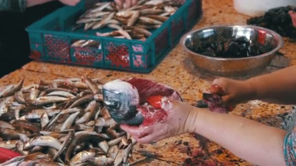Vrouw vis verkoper reinigt en snijden van verse vis op de vismarkt — Stockvideo
