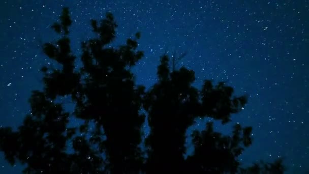 Mozgó csillagok éjszakai égbolt, fák alatt. Idő telik el. — Stock videók