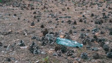 Bir çam ormanı plastik şişede. Kadın Stepping ayağı ile bir plastik şişe üzerinde