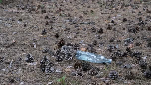 Botella de plástico en un bosque de pinos. Mujer pisando una botella de plástico con su pie — Vídeo de stock