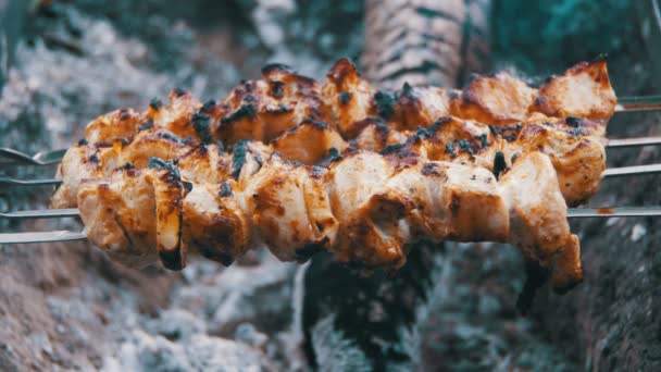 Spieße mit Hühnchen werden auf dem Feuer in der Natur gekocht — Stockvideo