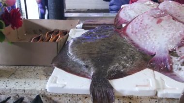 Taze deniz balık Kambala buz üstünde balık stok sayaç