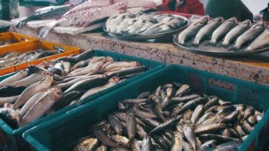 Taze deniz balığı buz Counter piyasada