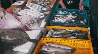 Taze deniz balığı balık stok tezgahın üzerine