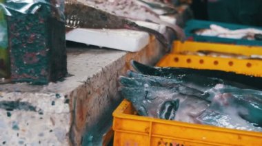 Taze deniz balığı balık stok tezgahın üzerine