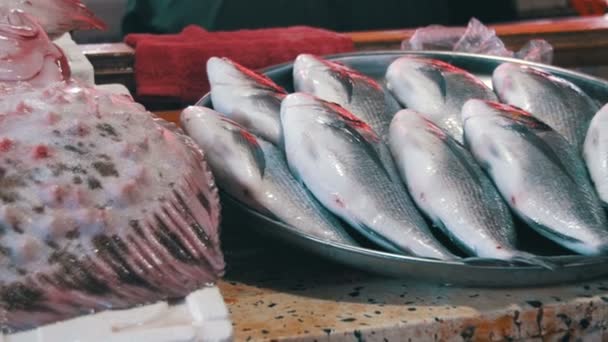 Čerstvé mořské ryby v obchodě — Stock video