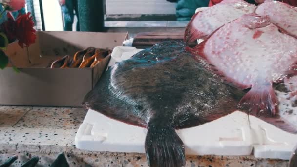 Pesce di mare fresco Kambala sul bancone del negozio di pesce — Video Stock