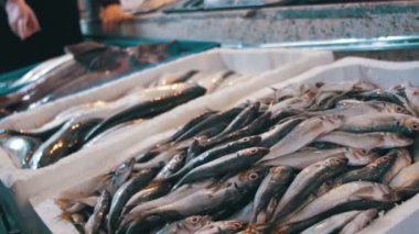 Taze deniz balığı balık stok tezgahın üzerine