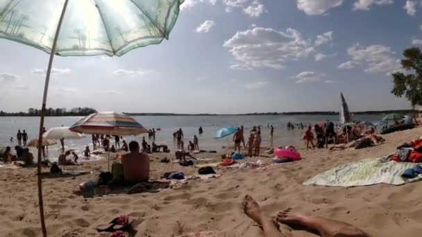 사람들은 해변에서 휴식 — 비디오