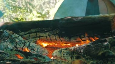 Bir çadır kamp içinde şenlik ateşi Burns ve ormanda günlüğe kaydeder