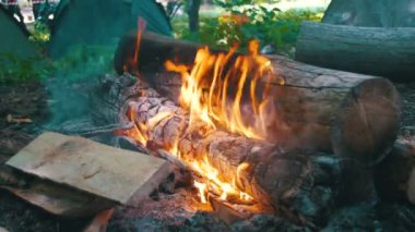 Bir çadır kamp içinde şenlik ateşi Burns ve ormanda günlüğe kaydeder